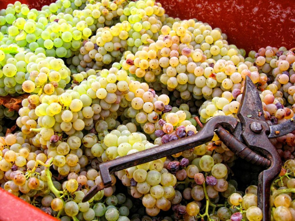 Agriturismo Marilena La Casella 호텔 카셀라 외부 사진